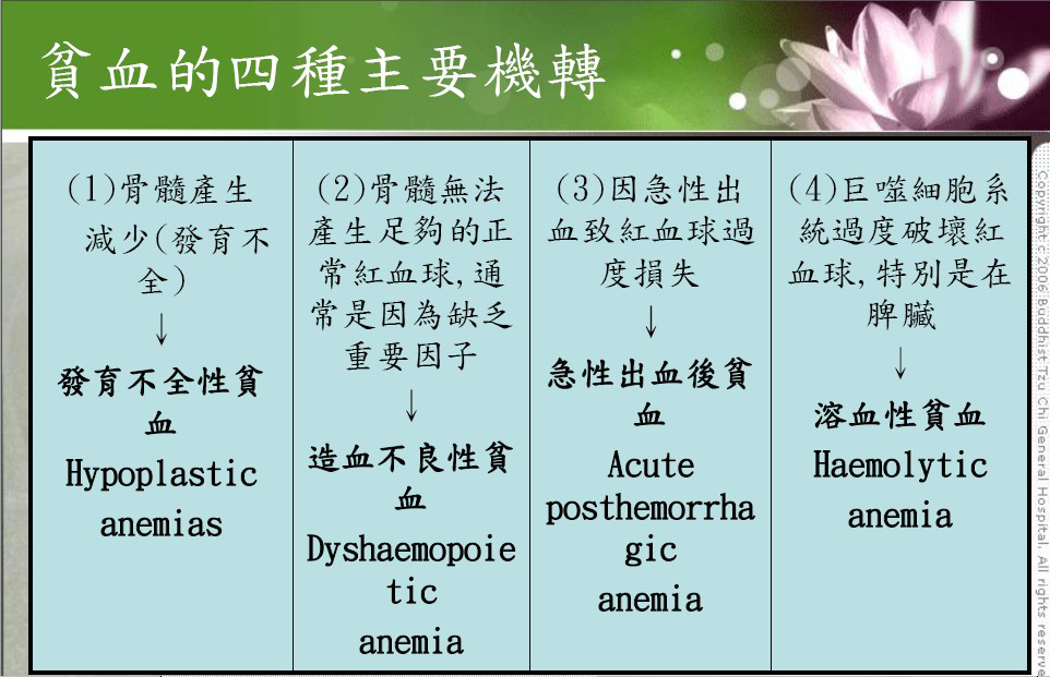 大林慈院數位學習平台最新課程介紹